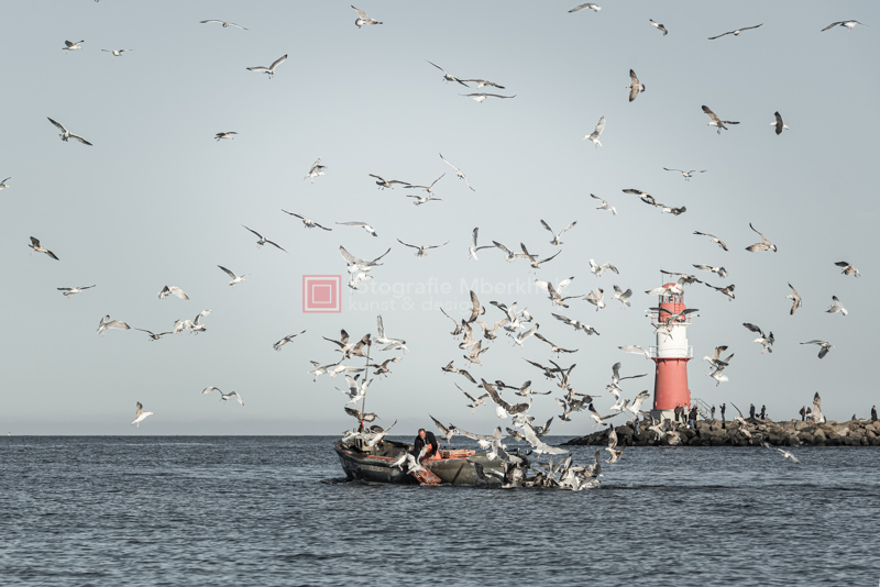 Fotoschule Rostock Warnemünde | Bundle Crashkurse | Kombination aus Einsteiger und Aufbau Crashkurs | ©_Marko_Berkholz | mberkholz.de