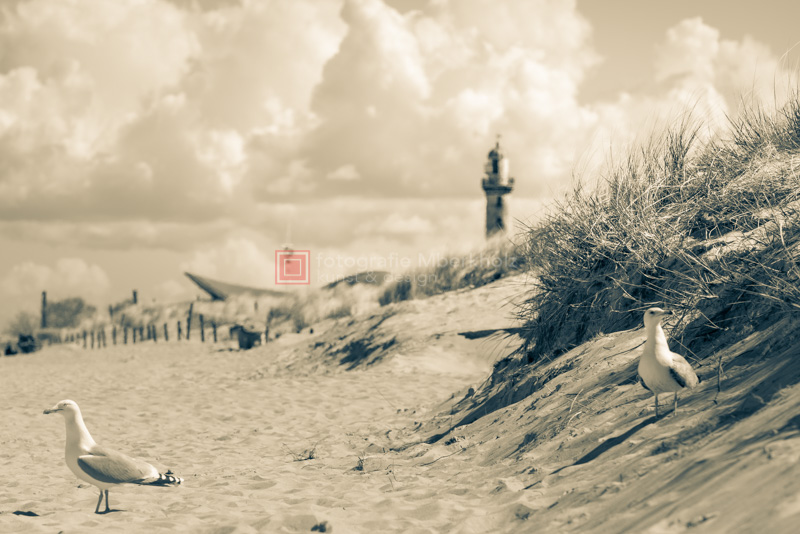 Fotoschule Rostock Warnemünde | Bundle Crashkurse | Kombination aus Einsteiger und Aufbau Crashkurs | ©_Marko_Berkholz | mberkholz.de